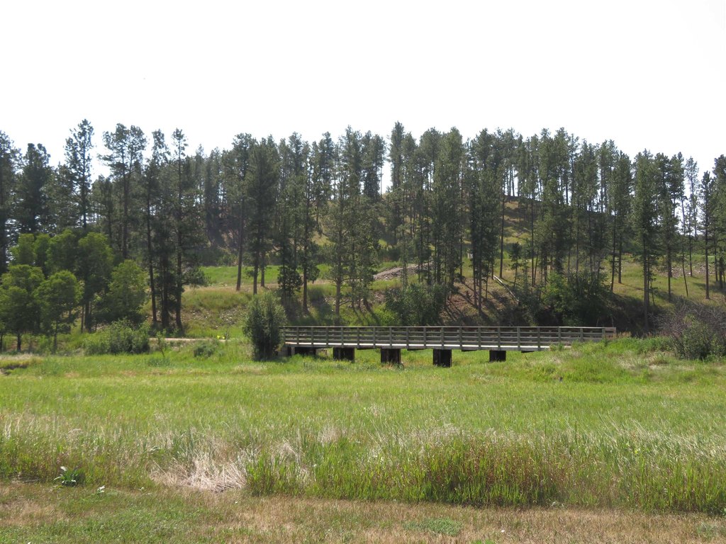 Picture 2