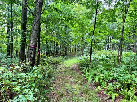 Land, Richford, NY
