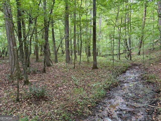 Douglasville Estate Lot on Five Notch