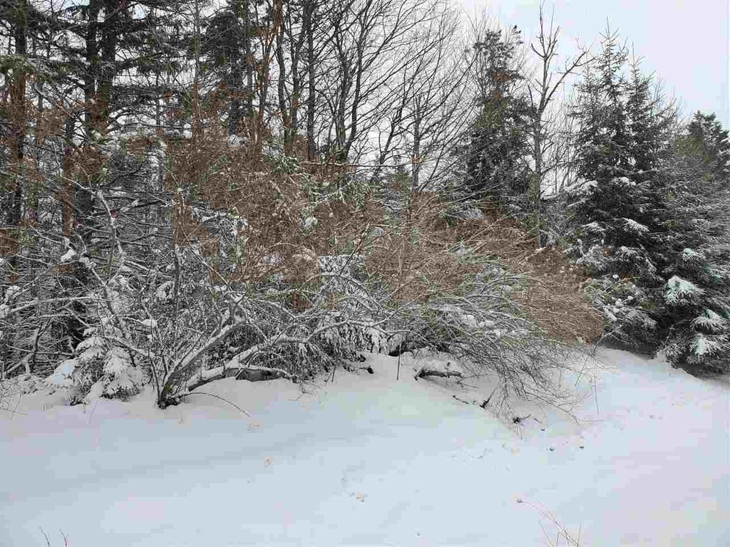 Picture 15