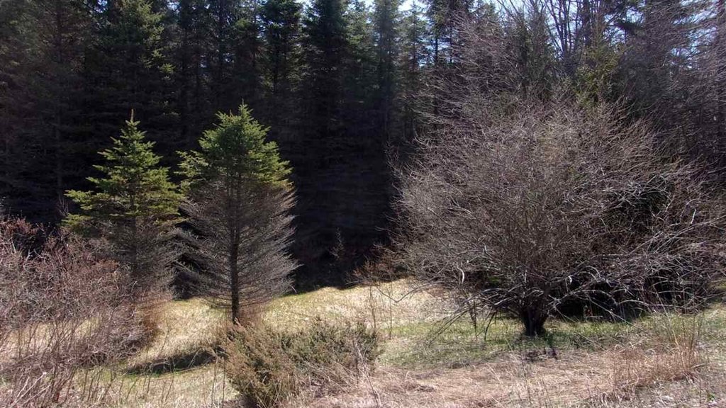 Picture 7