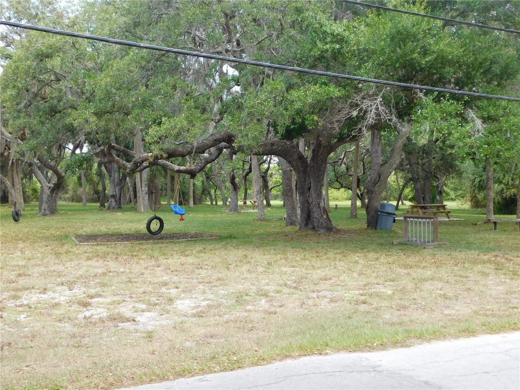 Picture 12