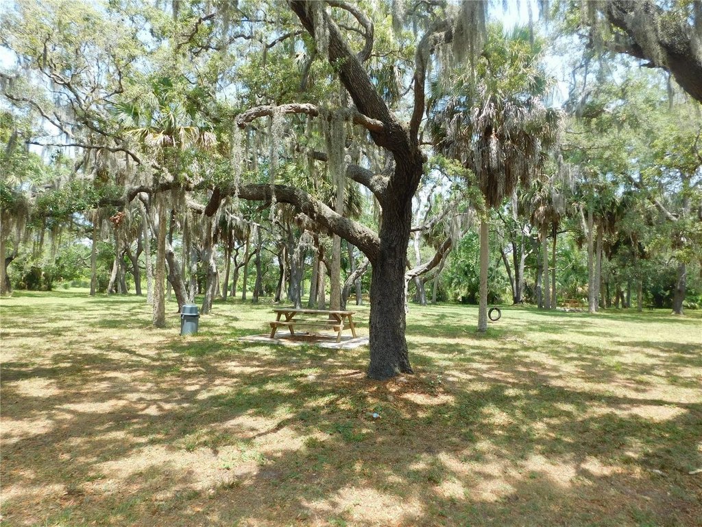 Picture 18