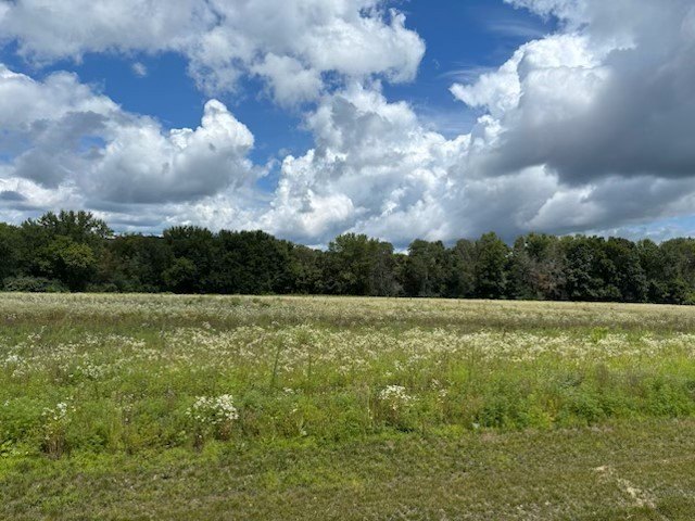 Land in Juniper Ridge Estates
