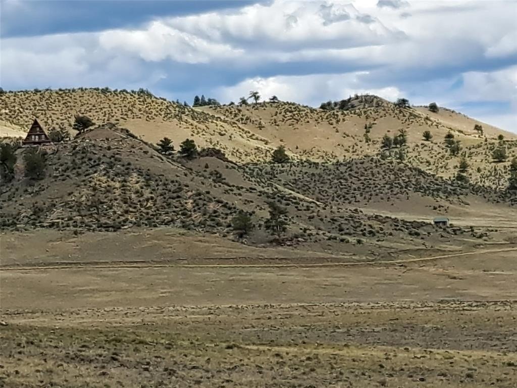 Picture 4