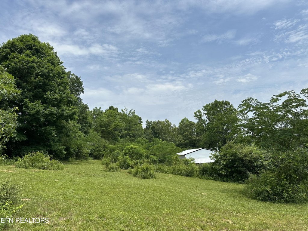 Picture 14