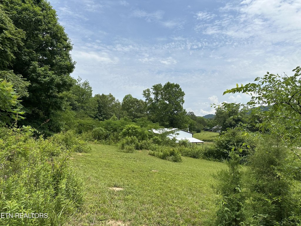 Picture 12