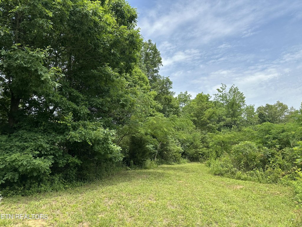Picture 16