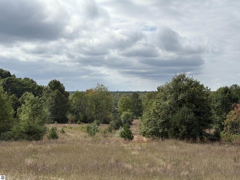 Recreational Hunting Land Tract
