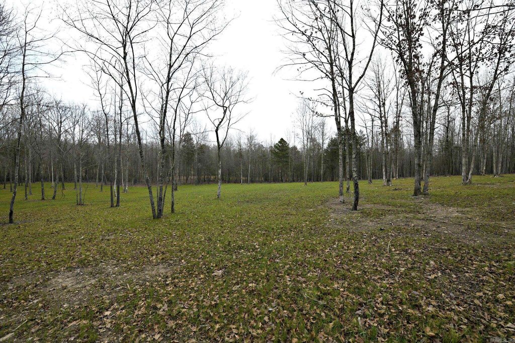 Picture 8