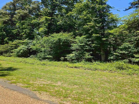Lake Palestine Interior Homesite