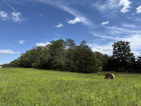 Unrestricted Land with Year-Round Creek