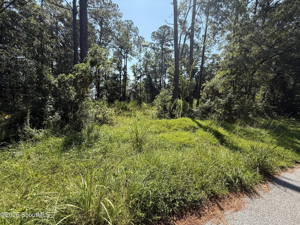 Picture 6