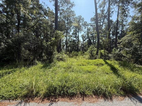 Land, Brunswick, GA