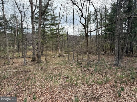 Waterfront Wooded Land For Sale