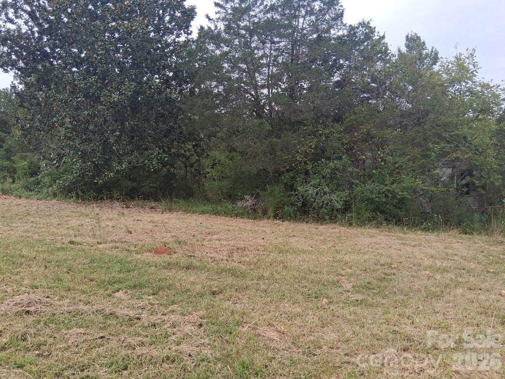 Picture 3