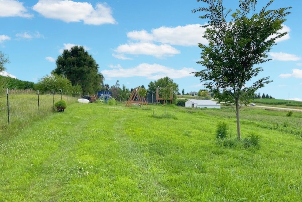 Picture 14