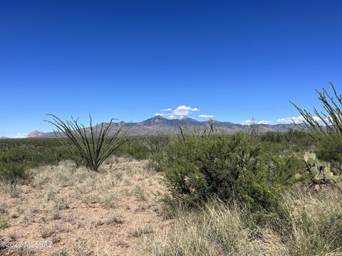 Expansive Desert Land in Tubac