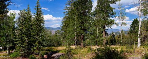 Flat Buildable Homesite Lot