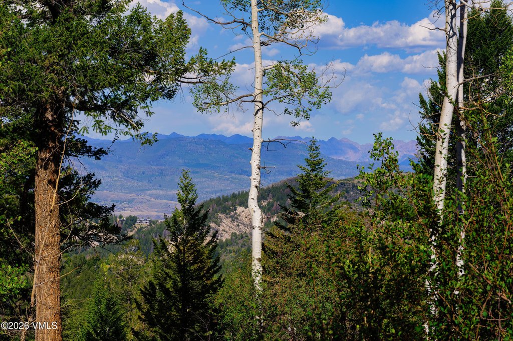 Picture 22