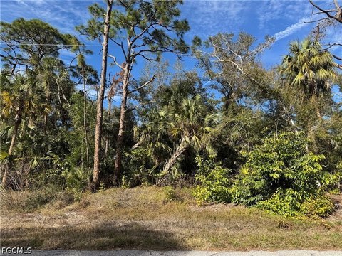 Land, Port Charlotte, FL