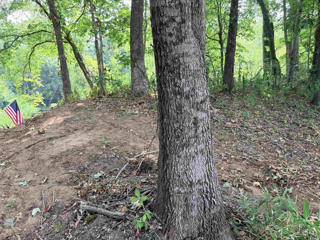 Picture 37