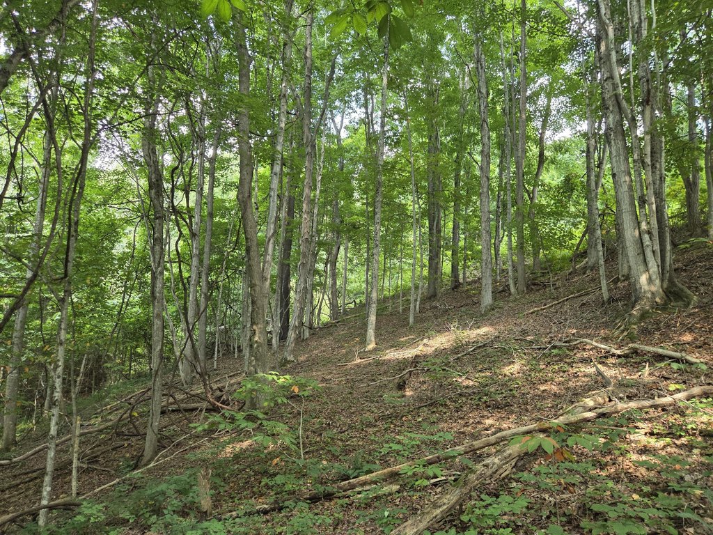 Picture 30