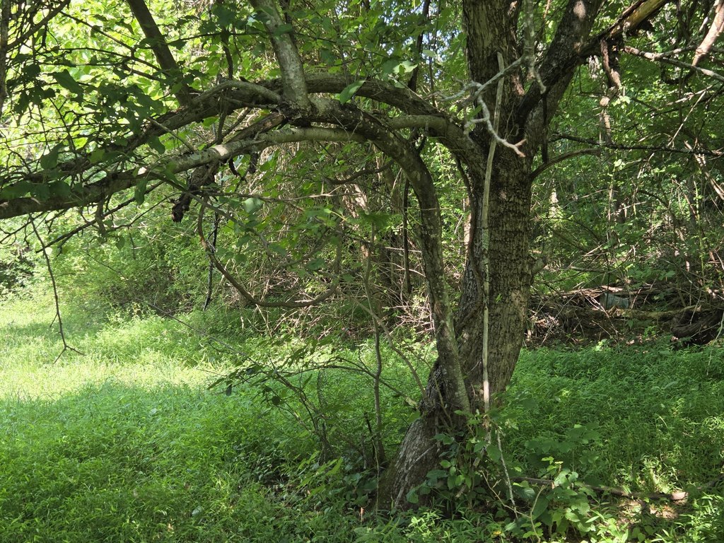 Picture 27
