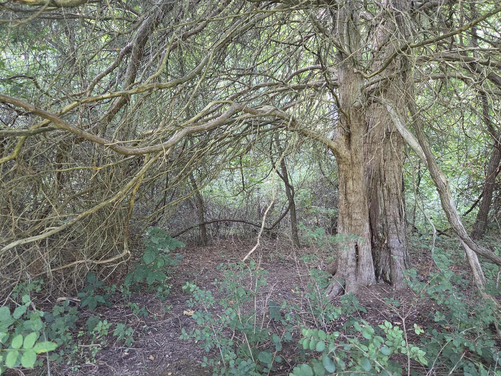 Picture 34