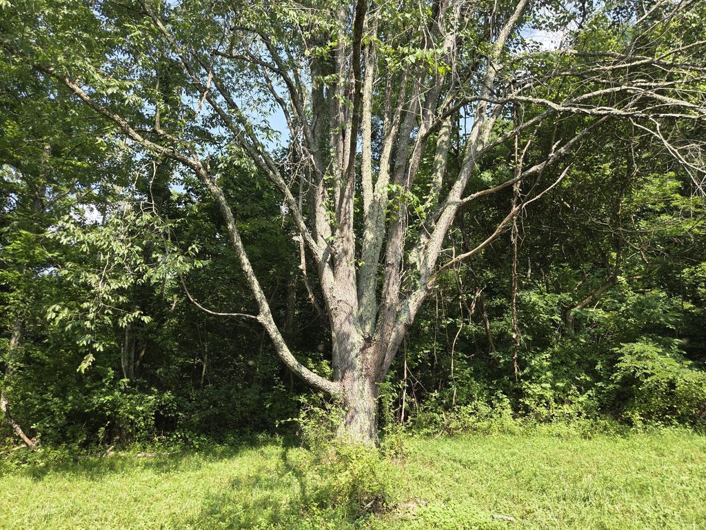 Picture 28