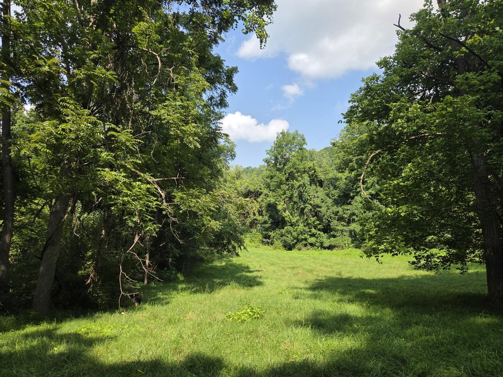 Picture 18
