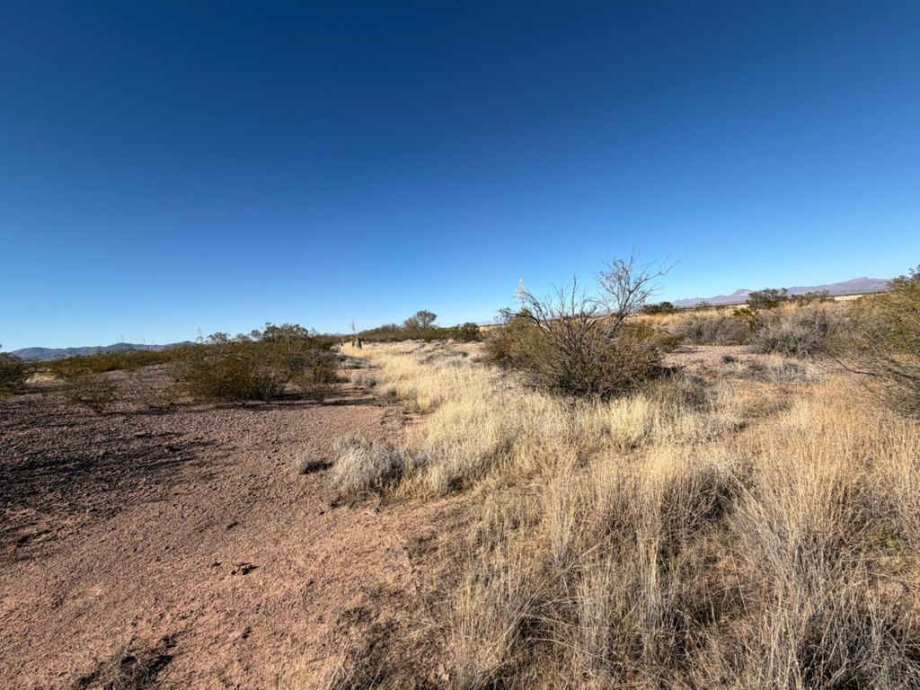 Picture 5