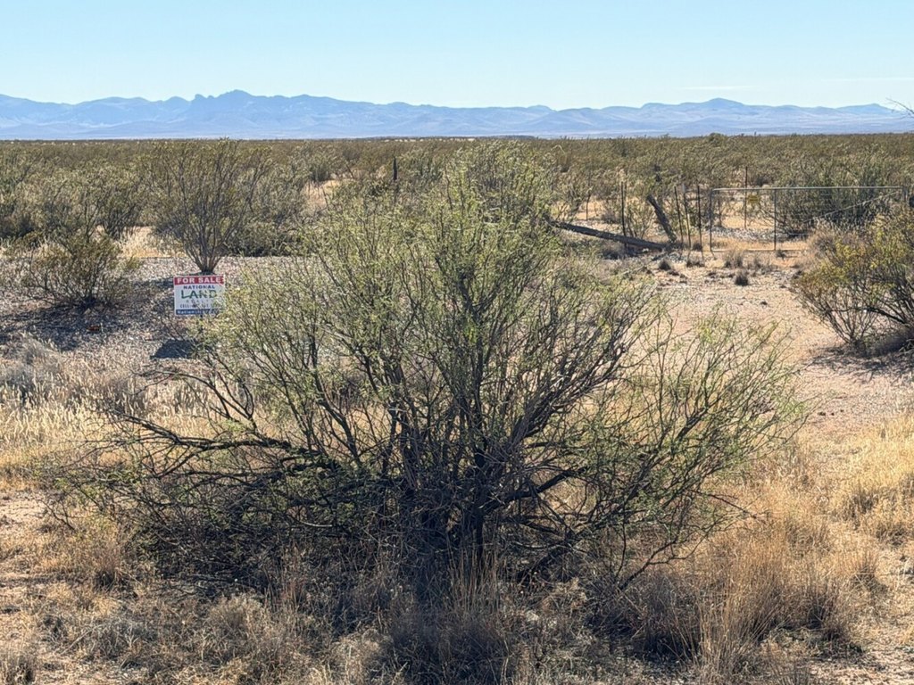 Picture 9