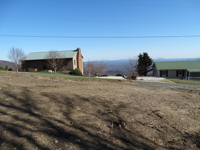 Picture 7