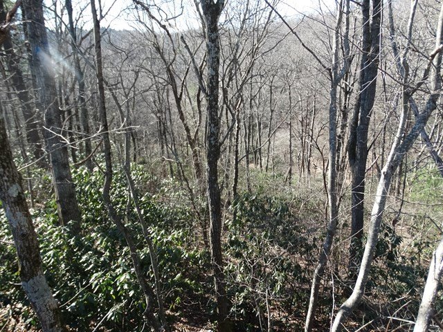 Picture 11