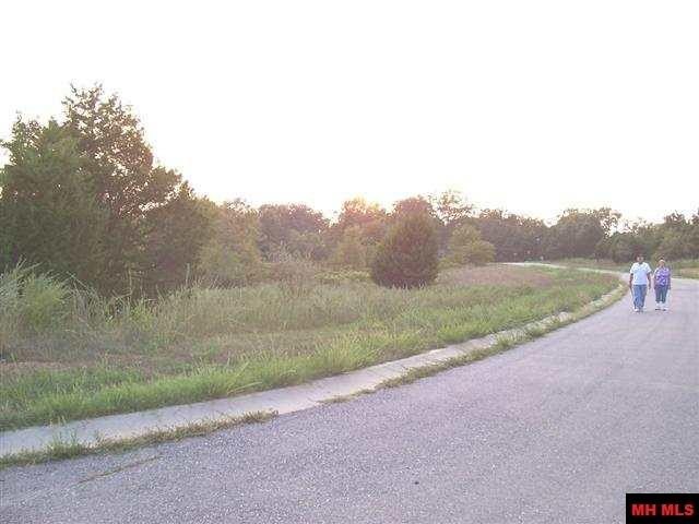 Picture 12