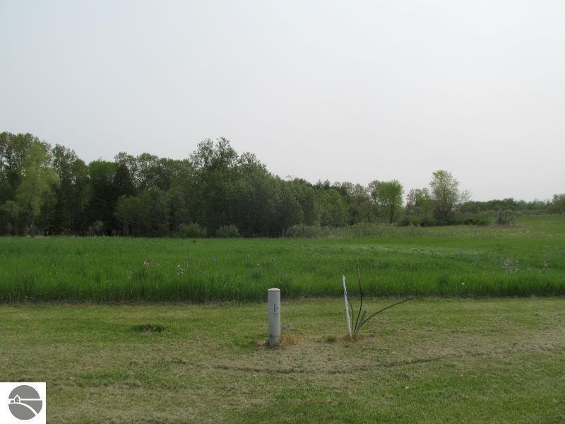 Picture 3
