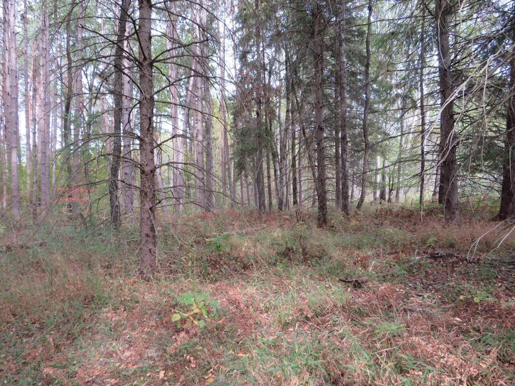Picture 22