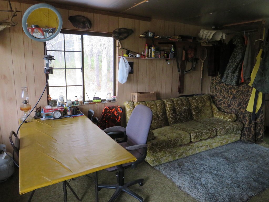 Picture 12