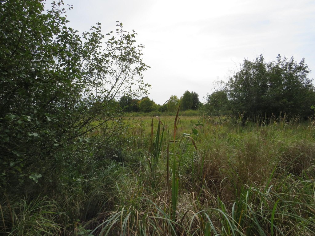 Picture 33