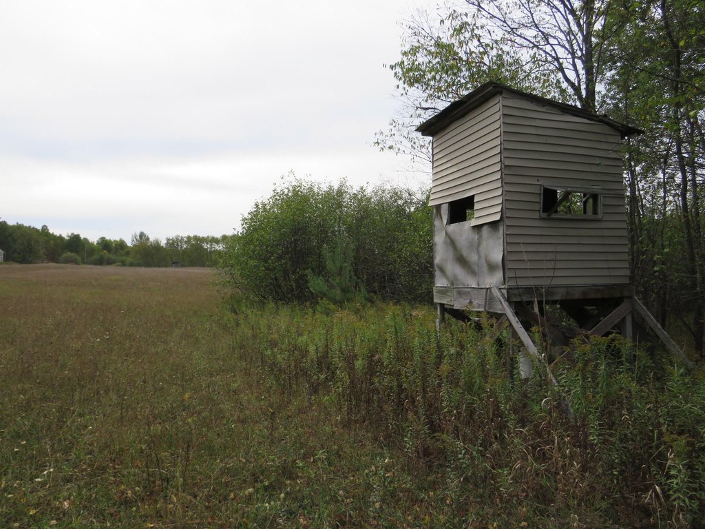 Picture 24