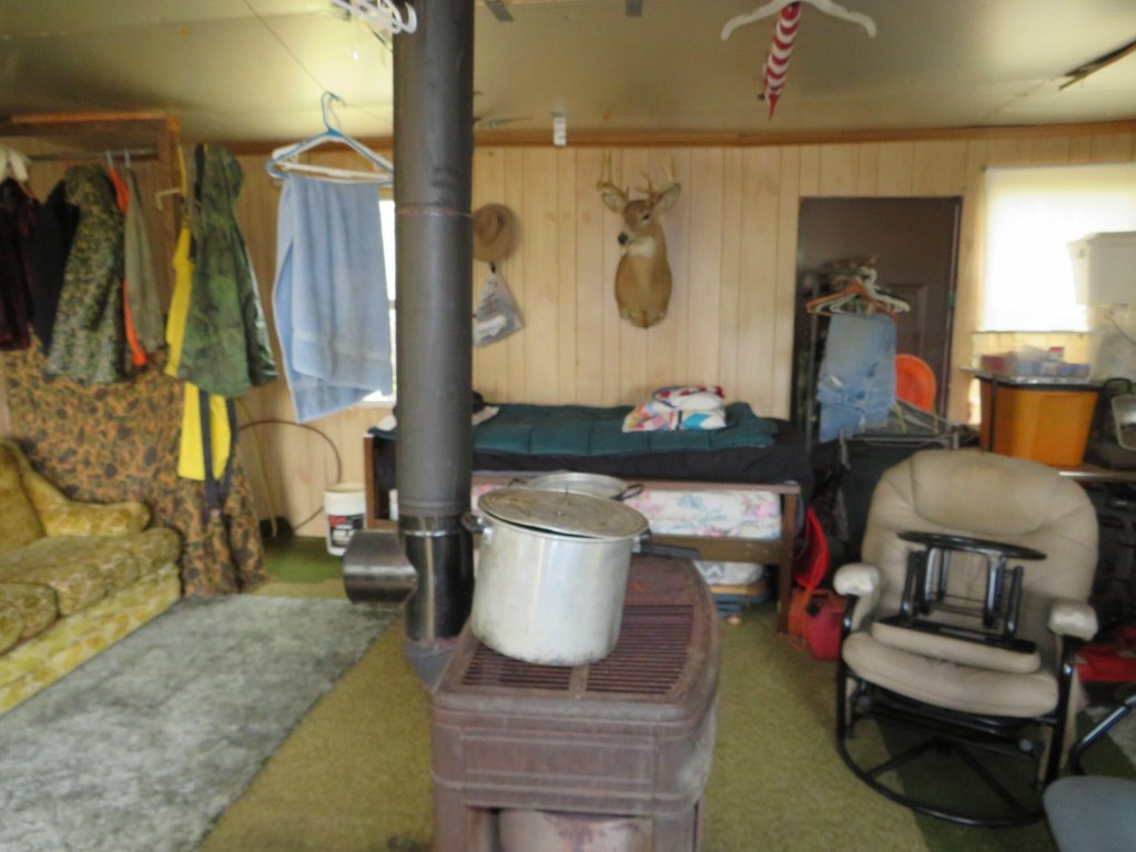 Picture 13