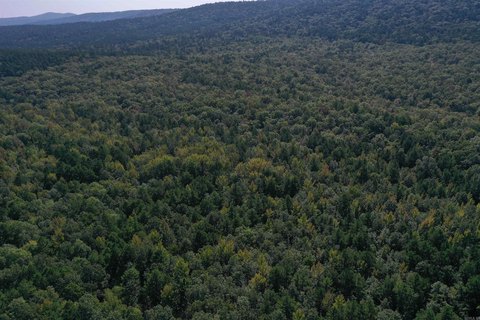 160 Acres Bordering National Forest