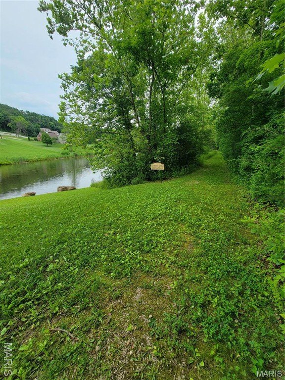 Picture 8