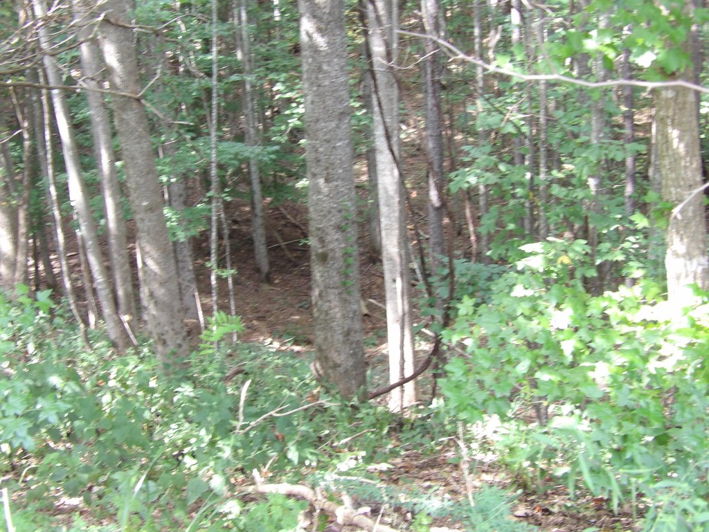 Picture 3
