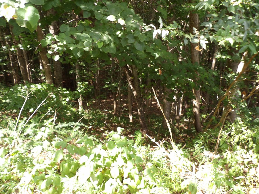 Picture 2