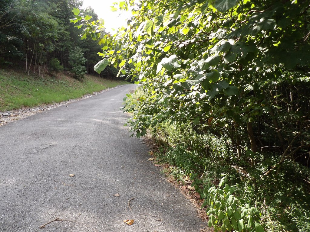 Picture 9