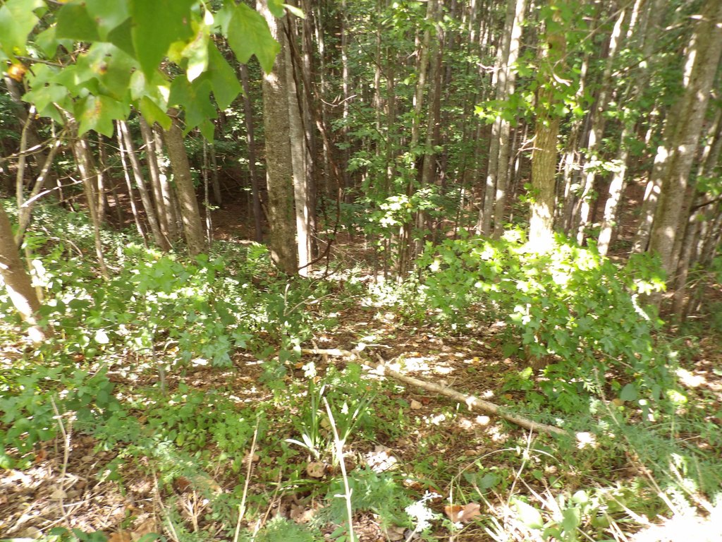 Picture 4