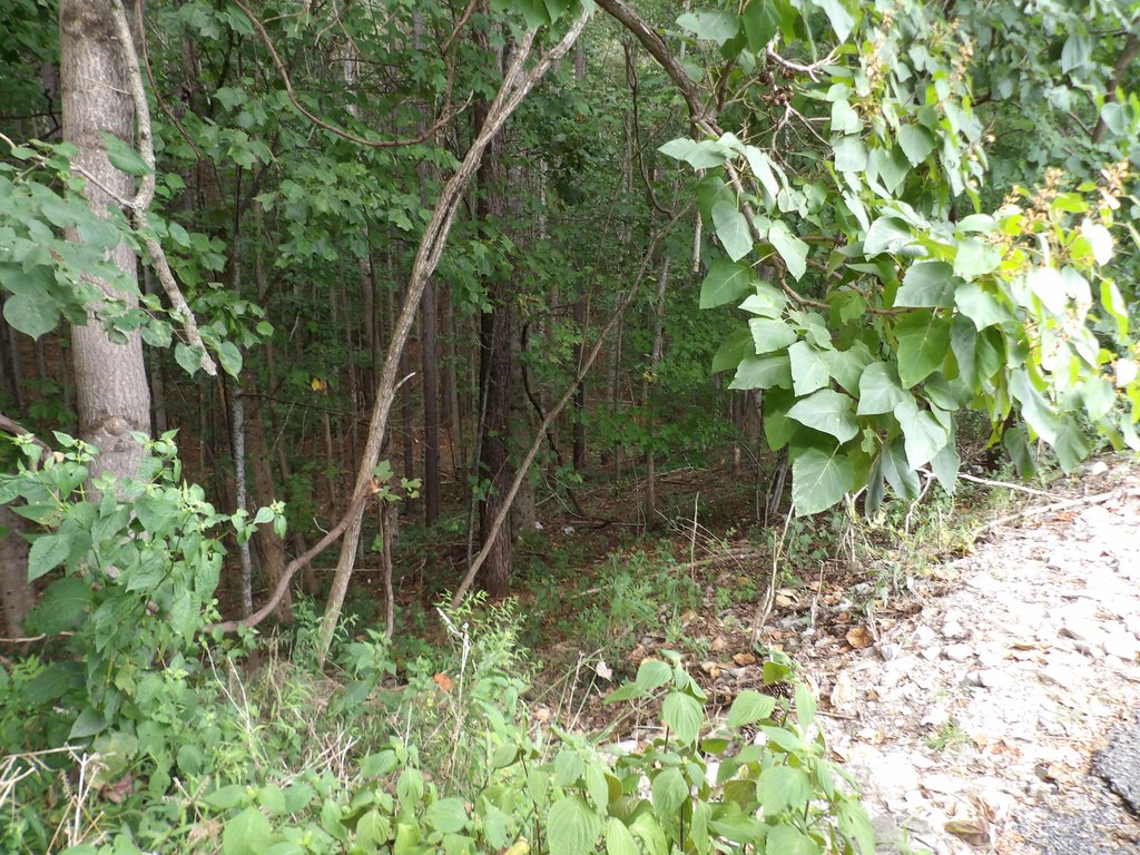 Picture 6