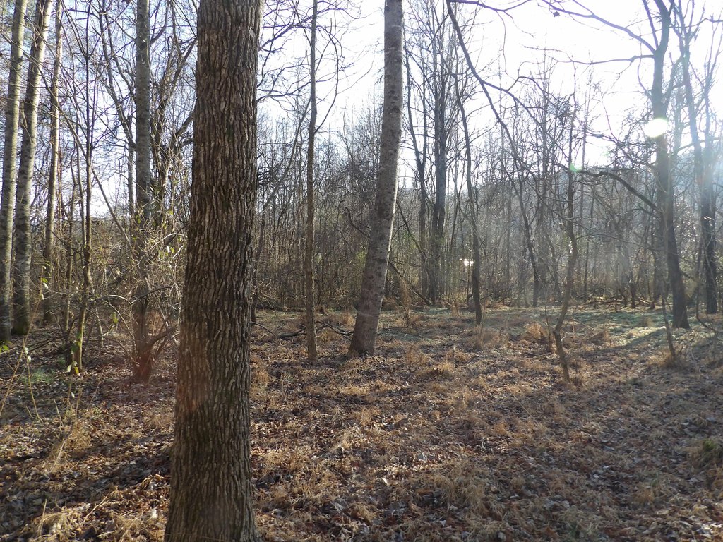 Picture 8